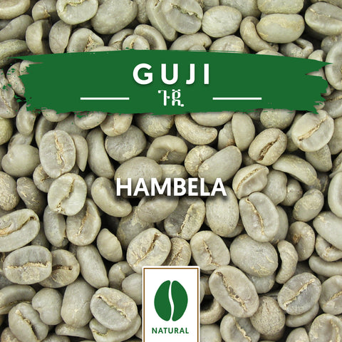 Guji Hambela Coffee